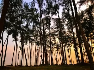 Digha Beach 1/undefined by Tripoto
