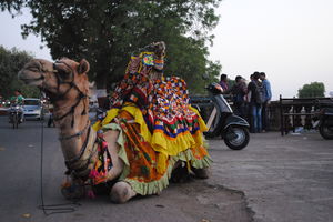 SOLO Trip to The Last Village of India