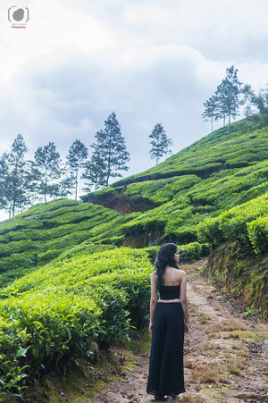 Kerala: The second desire