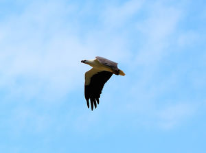 Tarkarli, Maharashtra