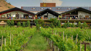 Vineyards Are Now New Weekend Gateway In India.