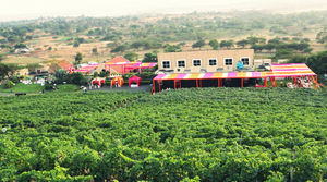 Grover Zampa Vineyards 1/1 by Tripoto