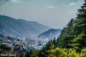 Like walking through a Tolkien's Novel: A trek to Triund Hilltop