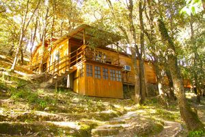 Aamod Resort & Spa, Shoghi: Idyllic Hill Resort