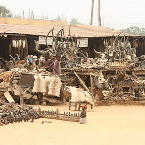 Akodessewa 1/1 by Tripoto