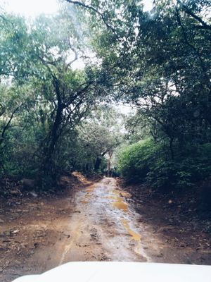 Rajmaachi - You scenic beauty!