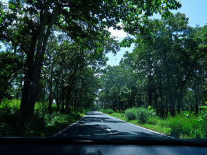 Long drive from Kollegal to Bandipur (NH 766)