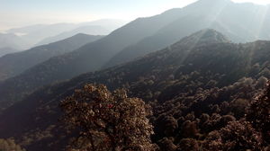 Vinayak Forest Rest House 1/5 by Tripoto