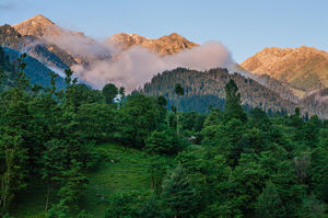 Chatpal less known in Kashmir