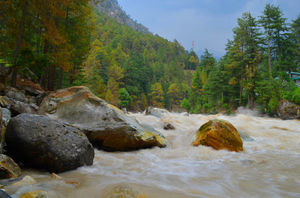 Experience the wilderness 1/1 by Tripoto