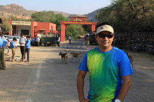 Ranthambhore - The land of the Tiger