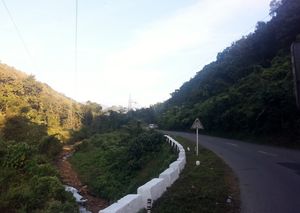 All about the Hornbill Festival in Nagaland