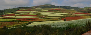 Dongchuan Red Land: A Paradise of Southern China Where You Can't Stop Clicking