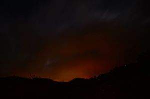 The Nights.
