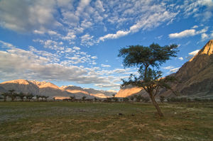 Motorcycling across Leh - Manali in 16 Days