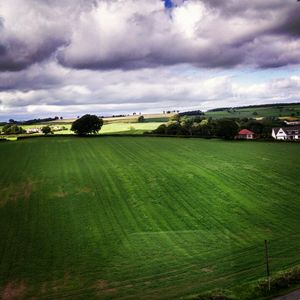 Scotland, you beauty!