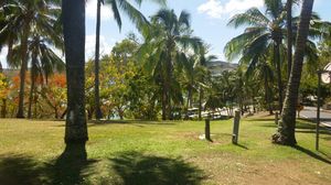 Tropical North Queensland