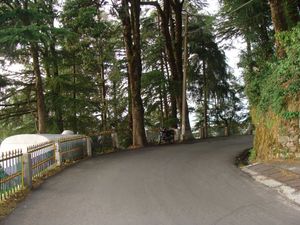 Dalhousie to Khajjiar – Pick your pine cones!