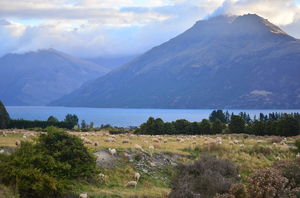 Epic Road Trip in New Zealand