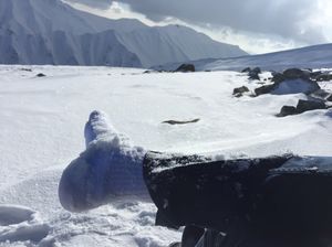Glistening Snow Of Gulmarg