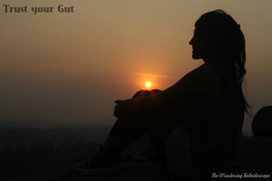 Trust your Gut | Rajasthan Chronicles