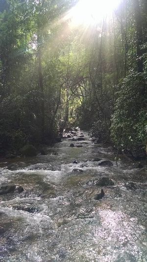 The next BIG THING after Dudhsagar in Goa