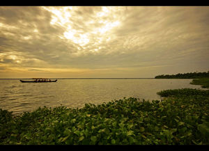 A Taste of Kerala : A Road Bike Tour