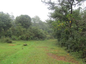 SOLO Trekking: David Scott Trail