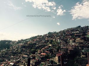 The Shimla Times