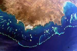The Greatest Reef In The World Has Been Pronounced Dead Because Of Global Warming!