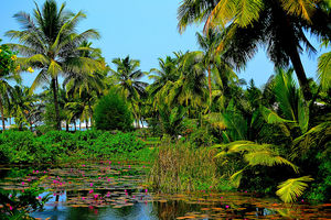 Handpicked Luxurious Getaways To Take With Your Grandparents In India This Year