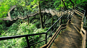 Kerala Becomes The First State In India To Figure Out How To Enjoy Nature Without Destroying It!