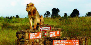 Why Magical Kenya Is A Must Visit For Every Business Traveller