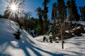 Off-Season Destinations in India to Score Ridiculous Discounts