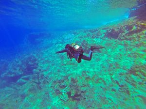 Scuba Diving In Goa: Everything You Need To Know