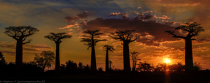 8 Spectacular Destinations Everyone In Their 40s Should Visit Right Now!