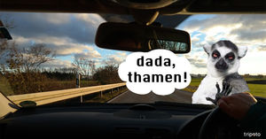 These Indian Cities Described In Hilarious One liners Is The Best Thing On The Internet Today