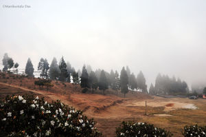 Deolo Hill 1/1 by Tripoto