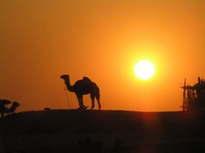 City breaks: A week in Cairo