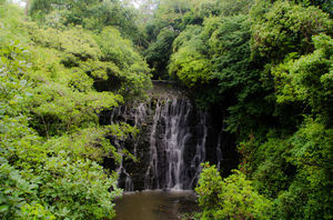 Elephant Falls 1/41 by Tripoto