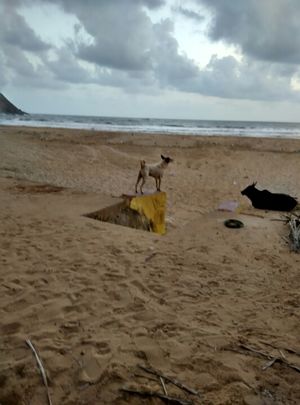 Gokarna! Absolute bliss!
