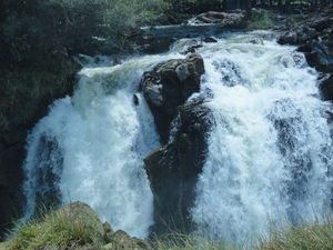 Drenching in Hogenakkal