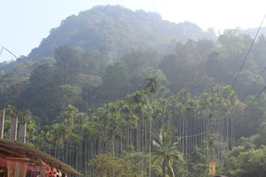 Wayanad: Where everyone feels at home