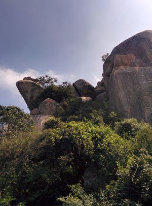 Avalabetta: On the verge of becoming famous