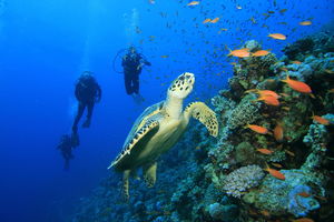 Mexico: A Coastal Sojourn