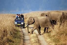 Corbett: Nature at its Best