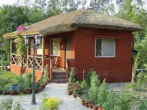 Sunderbans: The Ban of Tigers