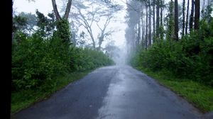 Through the mystic roads of Coorg