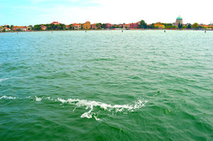 Venice: The Bride Of The Sea
