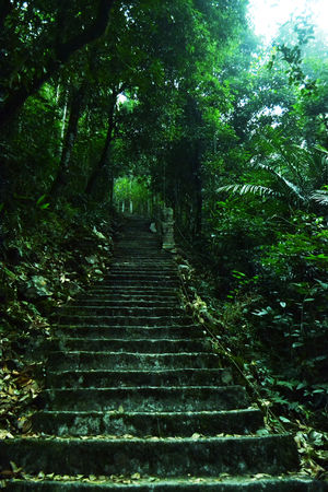 David Scott trail and other treks in Meghalaya